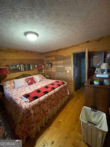 910 Foot Hills Drive, Cleveland, GA 30528