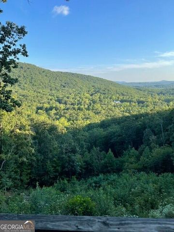 910 Foot Hills Drive, Cleveland, GA 30528