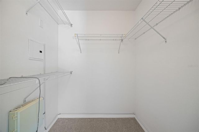 11608 DECLARATION DRIVE, Tampa, FL 33635