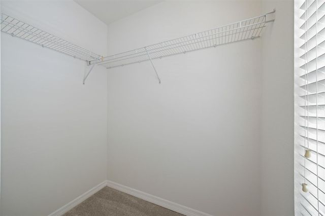 11608 DECLARATION DRIVE, Tampa, FL 33635