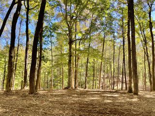 0 Harper, Clarksville, TN 37043