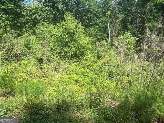 75 Hope Court, Ellijay, GA 30540