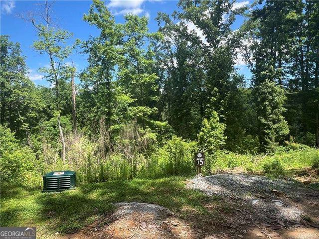 75 Hope Court, Ellijay, GA 30540