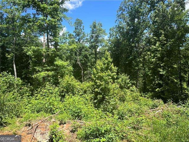 75 Hope Court, Ellijay, GA 30540