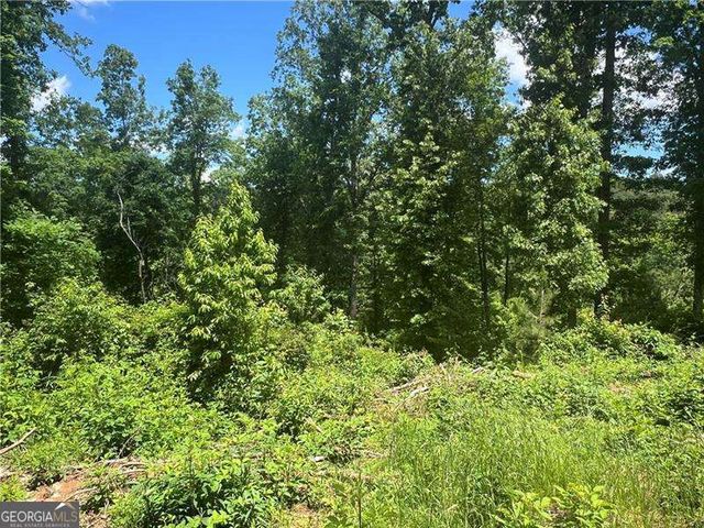 75 Hope Court, Ellijay, GA 30540