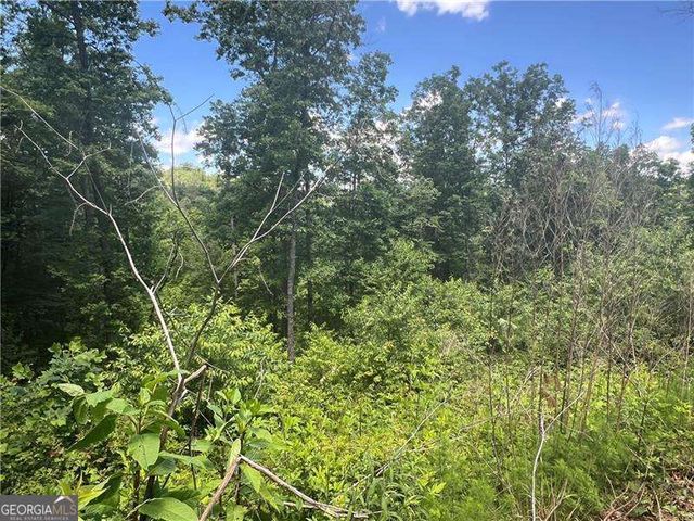 75 Hope Court, Ellijay, GA 30540