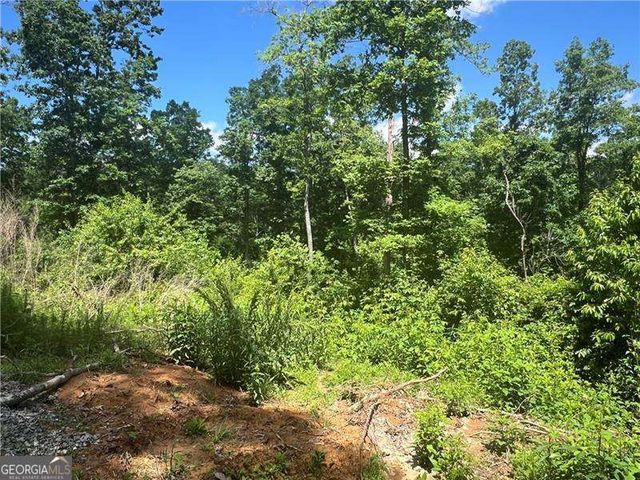 75 Hope Court, Ellijay, GA 30540