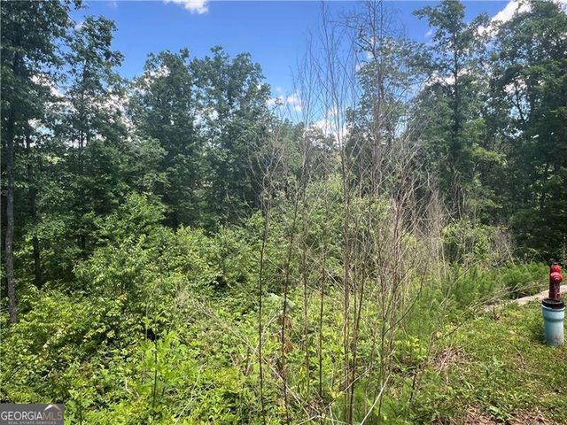 75 Hope Court, Ellijay, GA 30540