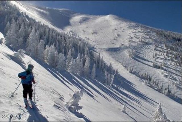 1710 N FAIRWAY Drive, Flagstaff, AZ 86004