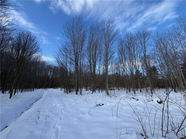 0 Carpenter Road, Evans, NY 14006