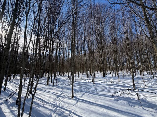 0 Carpenter Road, Evans, NY 14006