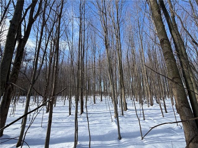 0 Carpenter Road, Evans, NY 14006