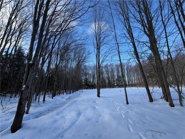 0 Carpenter Road, Evans, NY 14006