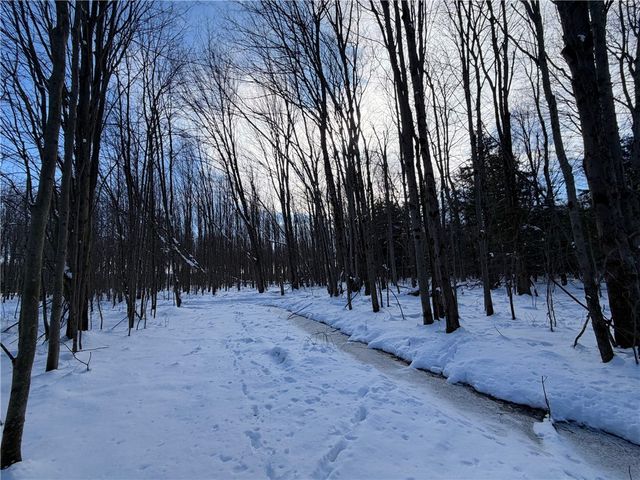 0 Carpenter Road, Evans, NY 14006