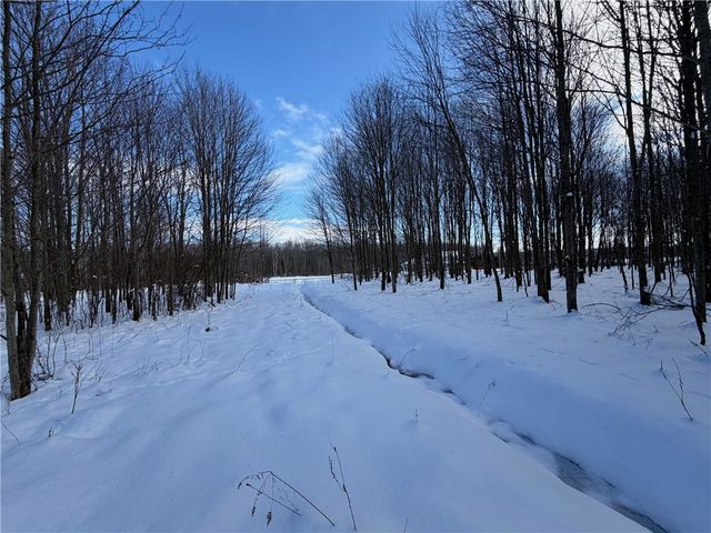 0 Carpenter Road, Evans, NY 14006