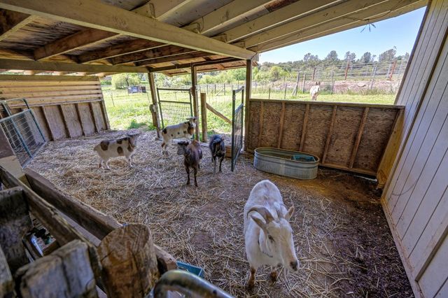 10805 Cramer Rd, Auburn, CA 95602