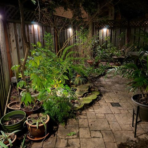 7535 Pheasant Hlw Pl, Citrus Heights, CA 95610