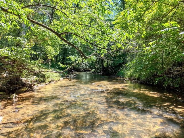 500 Williamstown Road S, Mineral Bluff, GA 30559