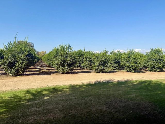 15434 Ave. 330, Ivanhoe, CA 93235