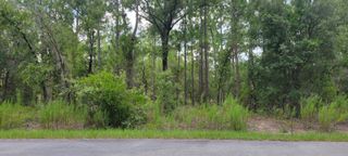 0 NW CHESTNUT AVENUE, Dunnellon, FL 34431