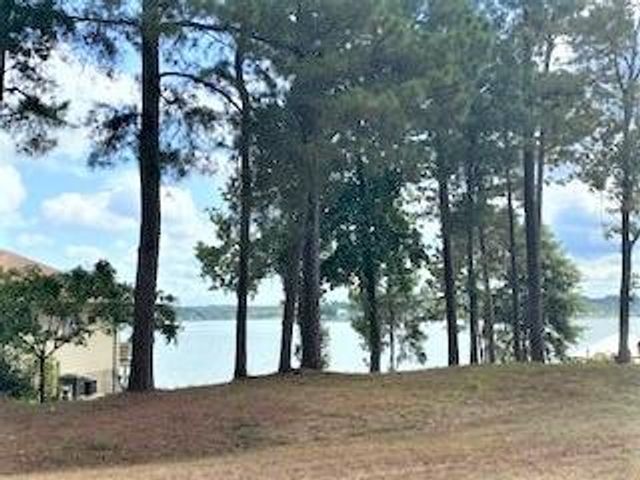 293 Twin Magnolia, Onalaska, TX 77360