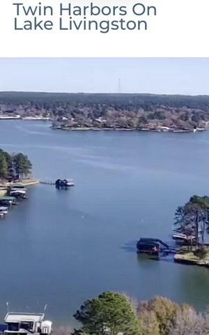 293 Twin Magnolia, Onalaska, TX 77360