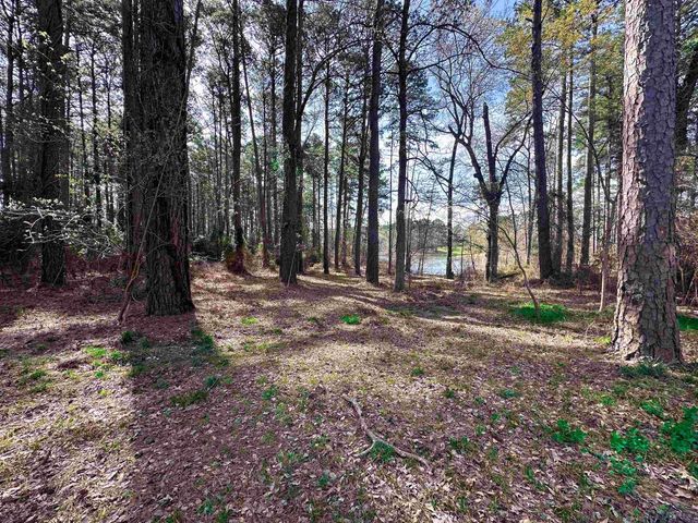 120 Louisiana St, Avinger, TX 75630