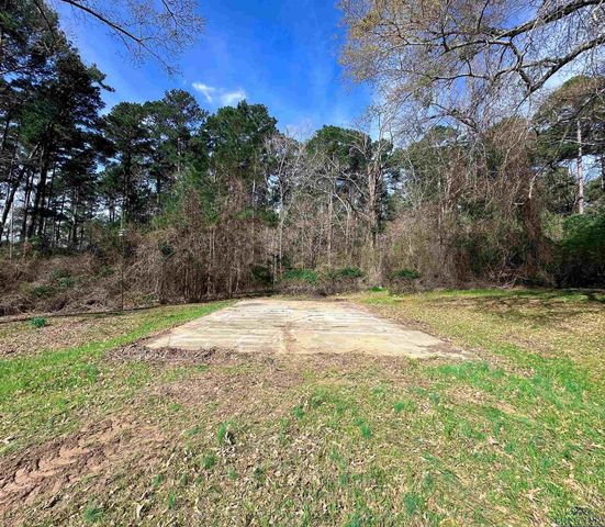 120 Louisiana St, Avinger, TX 75630