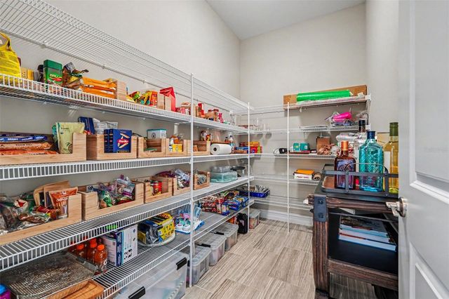 28446 CORBARA PLACE, Wesley Chapel, FL 33543