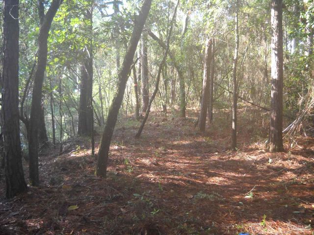 3178 Harrison St, Milton, FL 32583