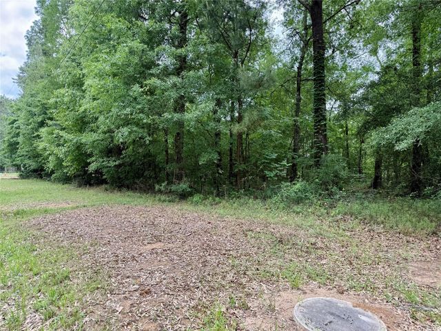 151 Moonlite Drive, Livingston, TX 77351