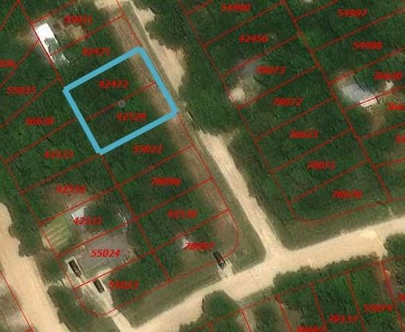 151 Moonlite Drive, Livingston, TX 77351