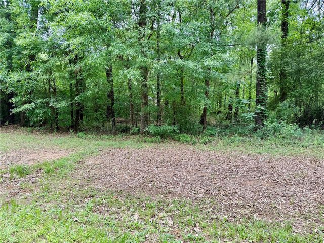 151 Moonlite Drive, Livingston, TX 77351