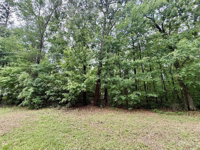 151 Moonlite Drive, Livingston, TX 77351
