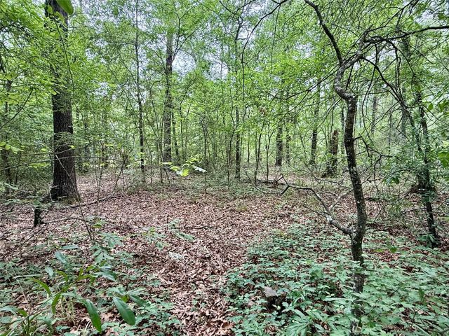 151 Moonlite Drive, Livingston, TX 77351