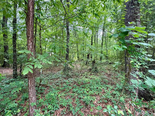 151 Moonlite Drive, Livingston, TX 77351