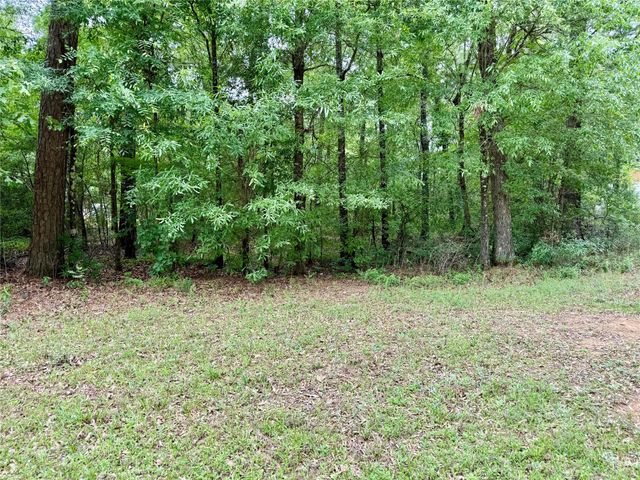 151 Moonlite Drive, Livingston, TX 77351