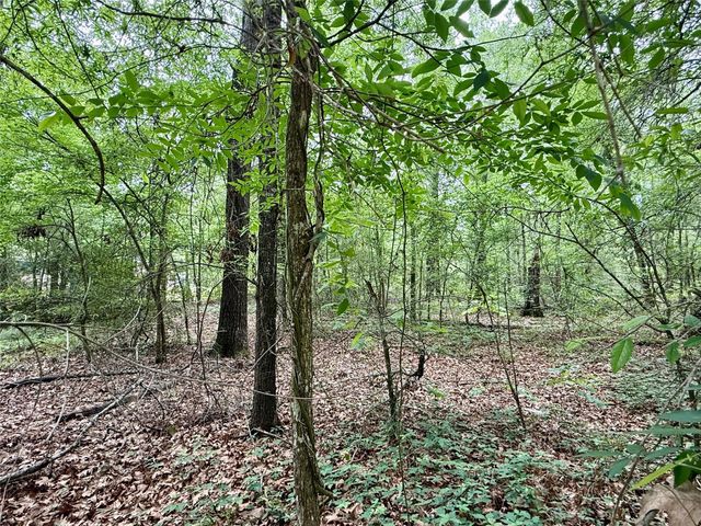 151 Moonlite Drive, Livingston, TX 77351
