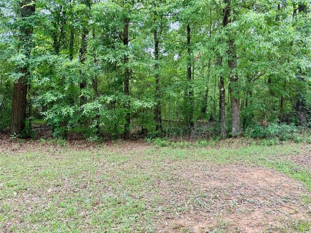 151 Moonlite Drive, Livingston, TX 77351