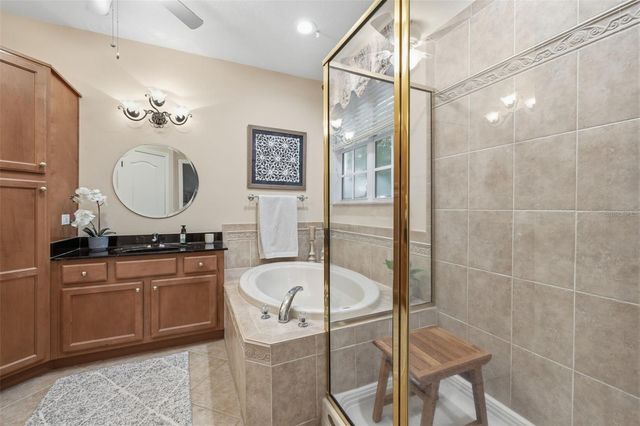 14613 MIRABELLE VISTA CIRCLE, Tampa, FL 33626
