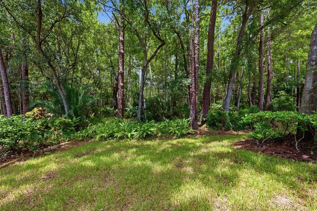 14613 MIRABELLE VISTA CIRCLE, Tampa, FL 33626