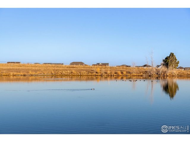 2257 Dogwood Dr, Erie, CO 80516