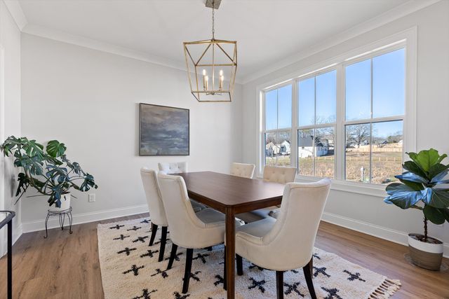 8629 Woodbury Acre Court, Harrison, TN 37341