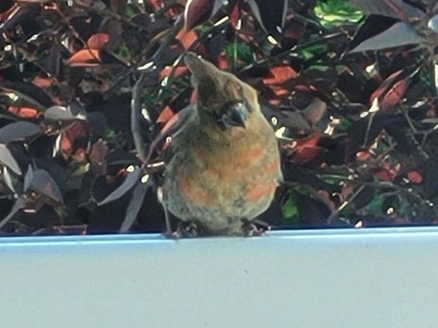 211 Bluff Avenue, Update, MI 49626