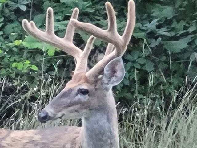 211 Bluff Avenue, Update, MI 49626