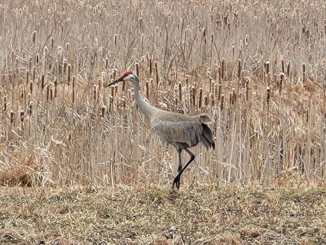 211 Bluff Avenue, Update, MI 49626