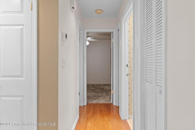 3217 Abeline Road, Spring Hill, FL 34608