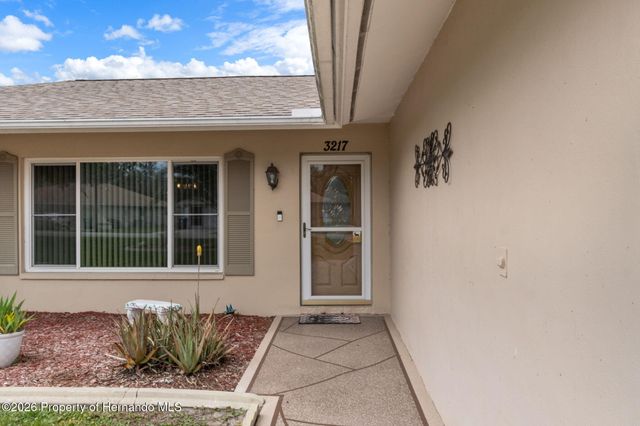 3217 Abeline Road, Spring Hill, FL 34608