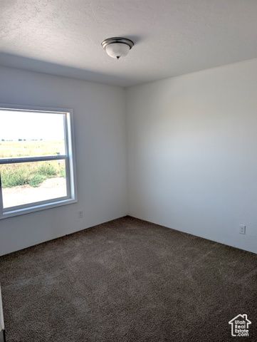 338 E 1600 S, Lewiston, UT 84320