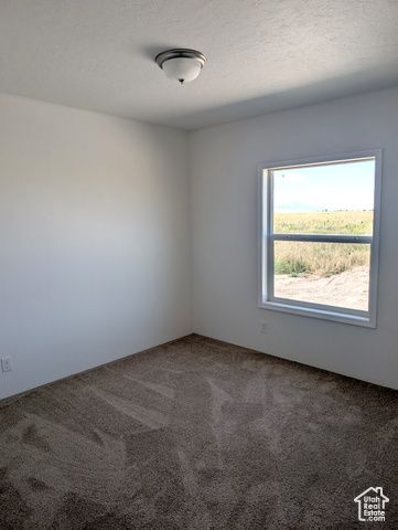 338 E 1600 S, Lewiston, UT 84320